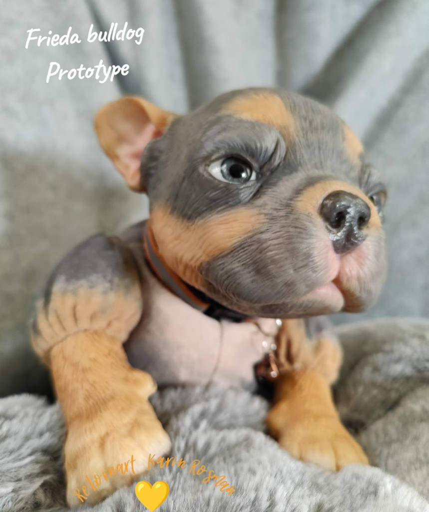 Freida the French Bull Dog Puppy Reborn Vinyl Doll Kit by Simon Laurens 16"