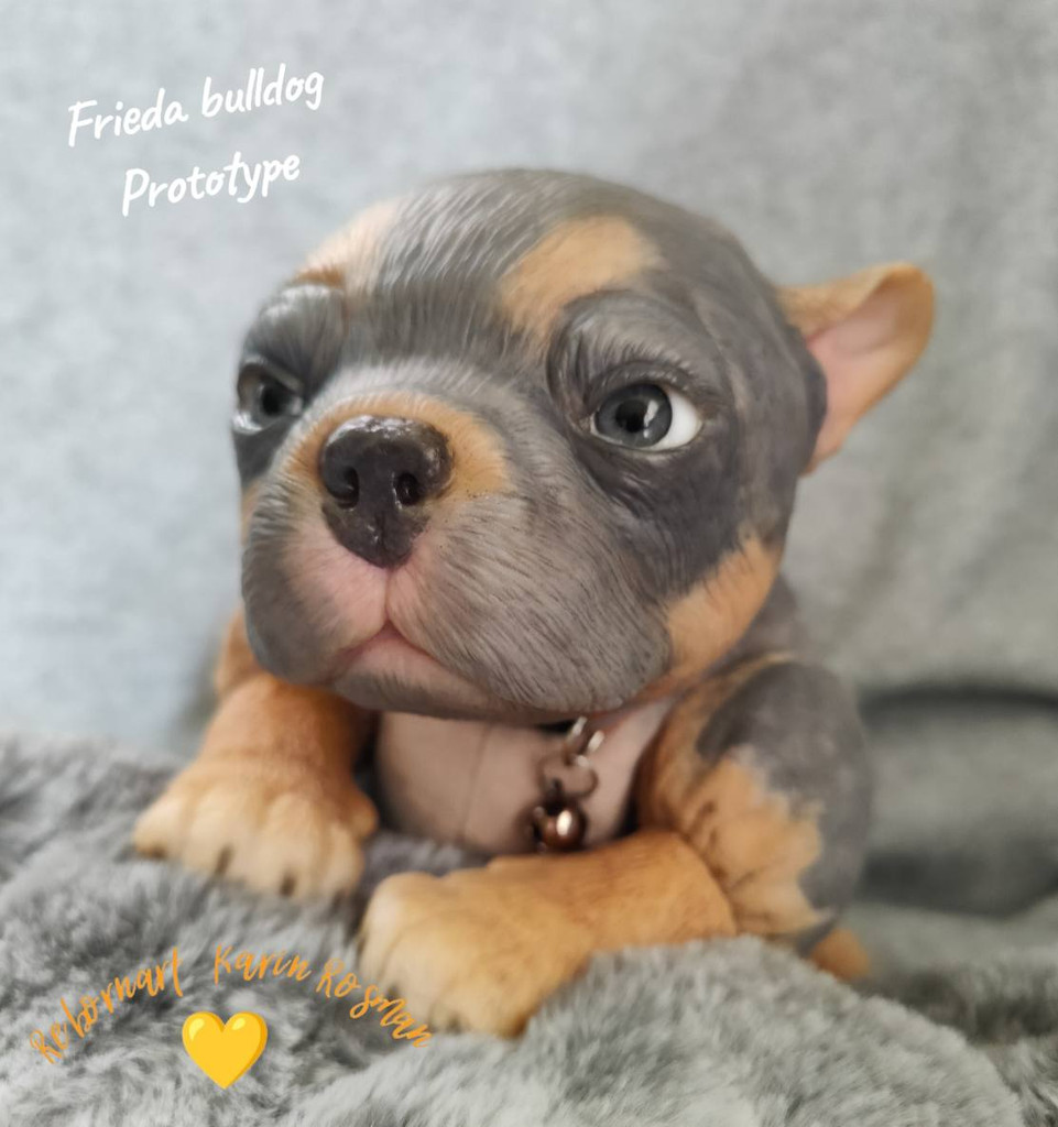 Freida the French Bull Dog Puppy Reborn Vinyl Doll Kit by Simon Laurens 16"