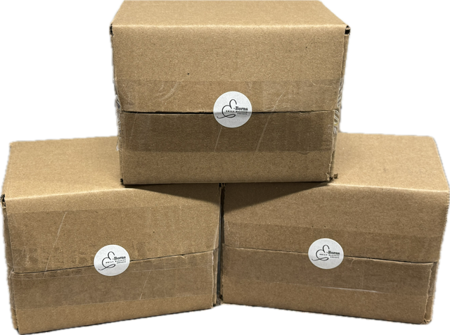 IRHSP E-Borns Tutorial Set - Includes 10 Colors and 5 Mediums