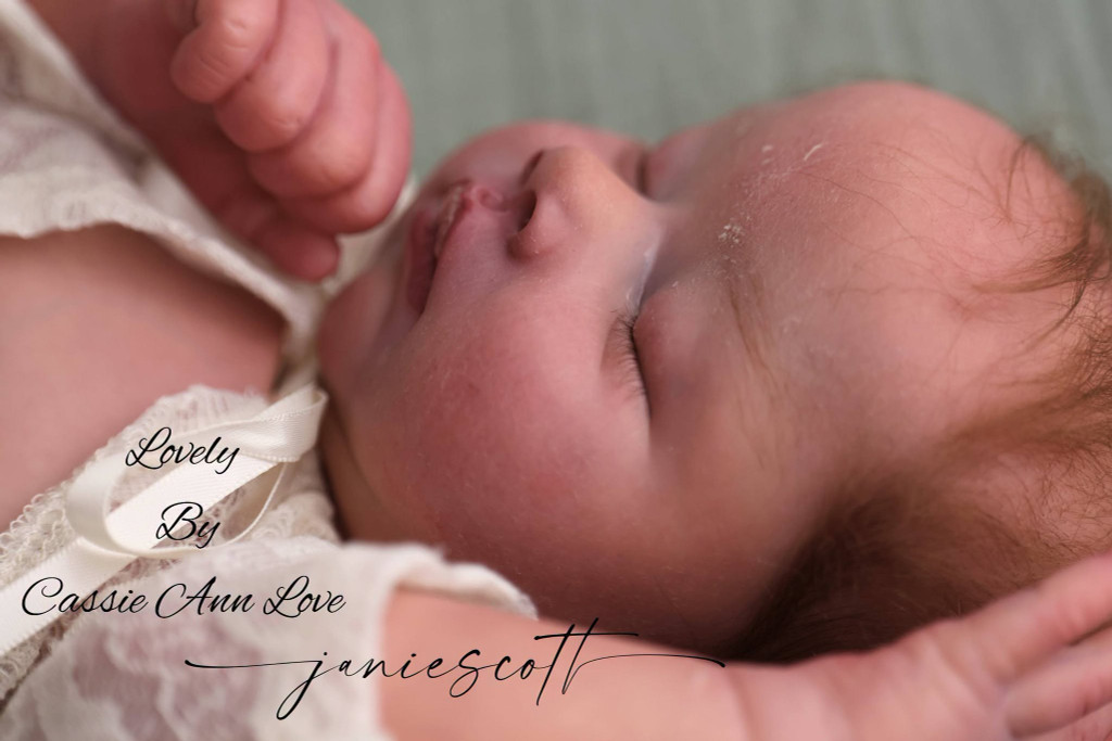 Lovely Reborn Vinyl Doll Kit by Cassie Ann Love Limited Edition 18"