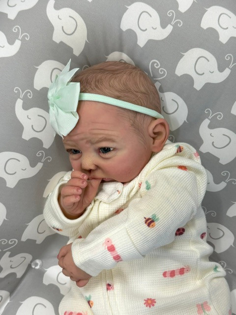 Saylor Silicone Reborn CUDDLE BABY Light Skin Tone by Ping Lau Bugs 18"