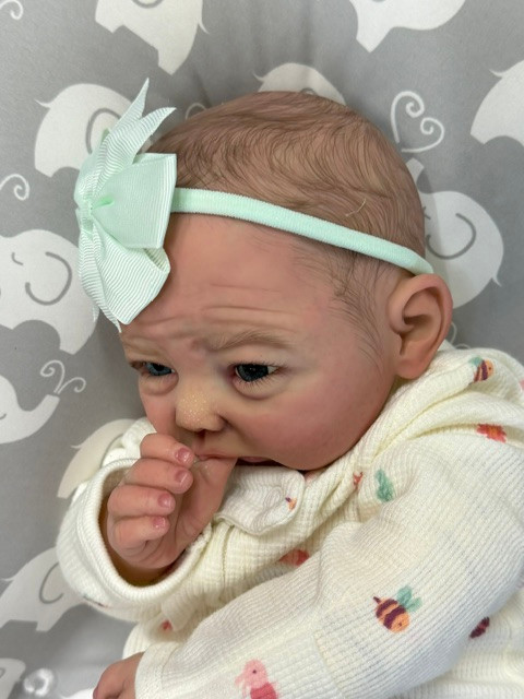 Saylor Silicone Reborn CUDDLE BABY Light Skin Tone by Ping Lau Bugs 18"