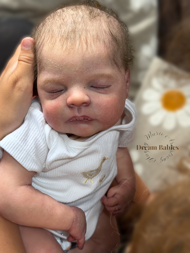 Louellle Reborn Vinyl Doll Kit by  Sabine Altenkirch 20" 