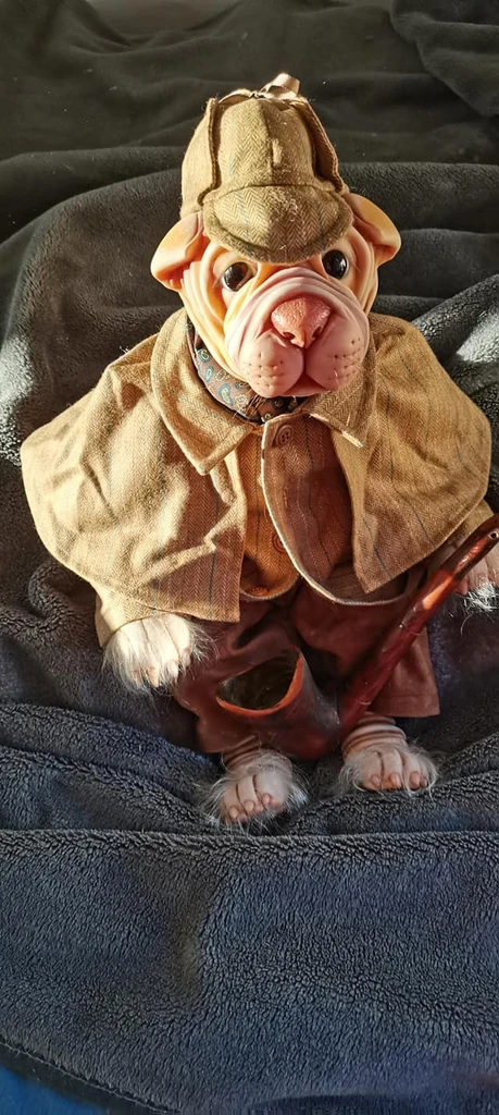 EKK Huckleberry the Shar-Pei Pup Reborn Vinyl Doll Kit by Jodie Lombardo 22"