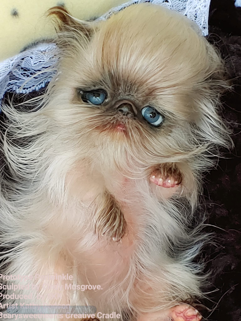 EKK Periwinkle the Kitten Sitting Reborn Vinyl Doll Kit by Cindy Musgrove 6"