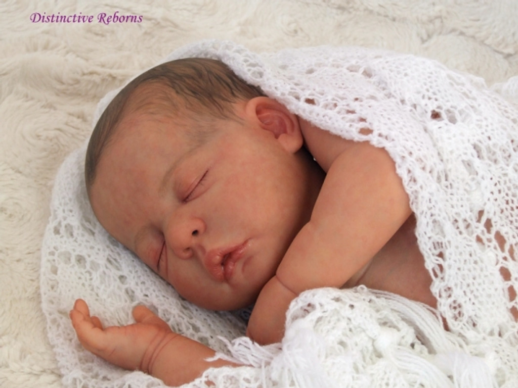 ann timmerman reborn dolls