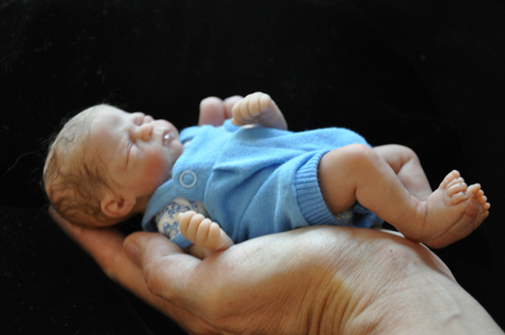 miniature reborn baby dolls