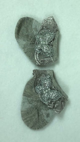 Newborn or Preemie Gray Party Socks with Silver Butterflies