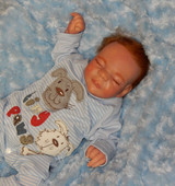 Henry  Reborn Finished Baby Boy Collectors Doll sculpted by Jamie Lynn Powers