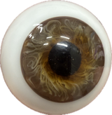 German Glass Eyes: Lifelike Full Round Mouth Blown Hazel  MA05