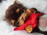 EKK Pickles Laying the Chihuahua Reborn Vinyl Doll Kit by Cindy Musgrove 8"