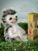 EKK Hans Reborn Vinyl Hedgehog Doll Kit by Marjoline Barge 10"