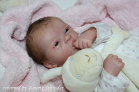 Elodie Reborn Vinyl Doll Kit by Evelina Wosnjuk