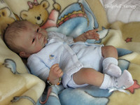 Ariel Reborn Vinyl Doll Kit By Sheila Michael LDC Dolldreams
