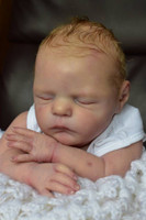 Xander Reborn Vinyl Doll Kit by Cassie Brace 18"