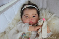 Reine Reborn Vinly Doll Kit by Ping Lau