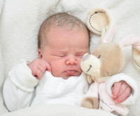 Adelina Vinyl Reborn Doll Kit by Elisa Marx