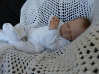 Angelo Reborn Vinyl Doll Kit by Linde Scherer