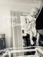 Blossom Reborn Preemie Vinyl Doll Kit by Jade Warner