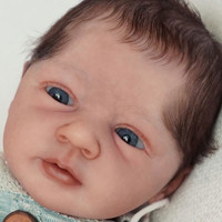 Felix Vinyl Reborn Doll Kit by Linde Scherer