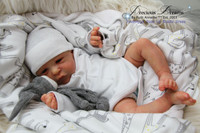 Roux Reborn Vinyl Doll Kit by Cassie Brace 18"