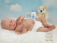 Sami Jo Reborn Vinyl Doll Kit by Marita Winters