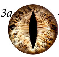 Fantasy Glass Cabochon Hand Printed Eyes Flat Back Brown  3A