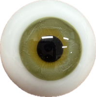 German Glass Eyes: Solid Half Round Flat Back Green 32491