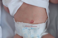 Reborn Vinyl Tummy Plate - Non-Gendered For 16-17" Doll Kits by Nikki Johnston