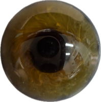 German Glass Eyes: Lifelike Full Round Mouth Blown Chestnut Brown  FO5