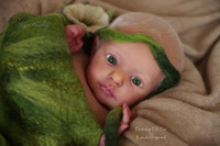 Elf-Fee Reborn Vinyl Doll Kit by Karola Wegerich