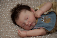 Gabriel  Reborn Vinyl Doll Kit by Eva Brilli