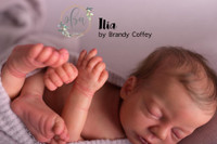 Ilia Reborn Vinyl Doll Kit by Brandy Coffey