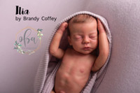 Ilia Reborn Vinyl Doll Kit by Brandy Coffey