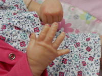 Katie Reborn Finished Baby Girl Collectors Doll sculpted by Toby Morgan