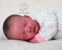 Little Birdie Premie Reborn Vinyl Doll Kit by Viviane Aleluia