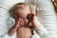 Haven Reborn Vinyl Doll Kit by Dawn Murray McCleod