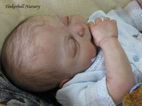 Hayden Reborn Vinyl Doll Kit by Sheila Michael