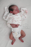 Helena Twin Reborn Vinyl Doll Kit by Priscila Lopez Limited Edition 800