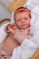 Melissa Reborn Vinyl Doll Kit by Viviane Aleluia Limited Edition