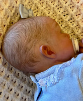 Adelya Reborn Vinyl Finished Reborn Doll  by Olga Auer Sold Out Edition