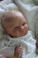 Rosie Reborn Vinyl Doll Kit by Cassie Brace  20" 