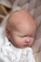 Angus/Agnes  Reborn Vinyl Doll Kit by Estibaliz Alonso 14"