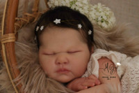 Harriet  Reborn Vinyl Doll Kit by Cassie Brace  20" SMALL Limited Edition