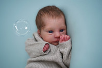 Lillegroda Reborn Vinyl Doll Kit by  Sabine Altenkirch 18" 