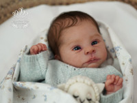 Lillegroda Reborn Vinyl Doll Kit by  Sabine Altenkirch 18" 