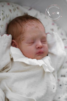 Daja Reborn Vinyl Doll Kit by Bina Esmina 19"  FREE SHIPPING!