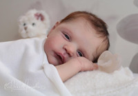 Alessandro Awake Reborn Vinyl Doll Kit by Cassie Brace  19.5" SMALL Limited Edition FREE GIFT CARD!!