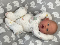 Colby Silicone Reborn CUDDLE BABY by Ping Lau Ready to Go Frogs  18"