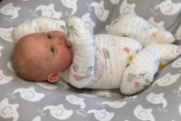 Colby Silicone Reborn CUDDLE BABY by Ping Lau Ready to Go Frogs  18"